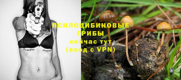 кокс Алексеевка